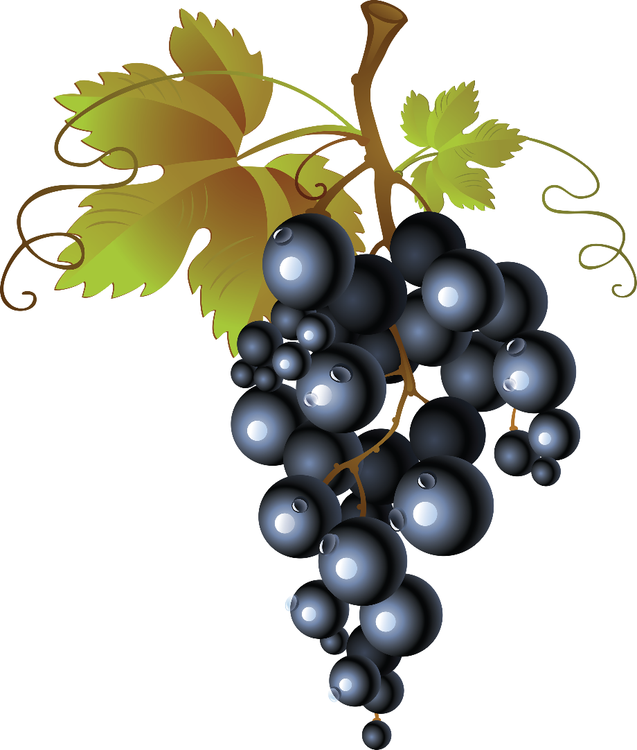 grape clipart clear background