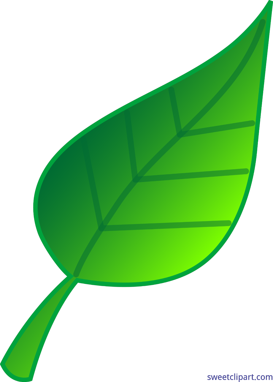 leaf clipart green
