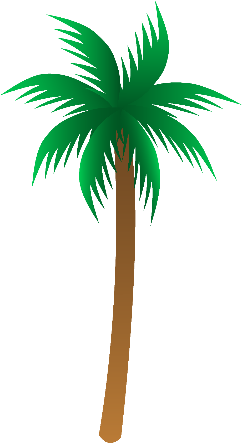 Palm tree high resolution