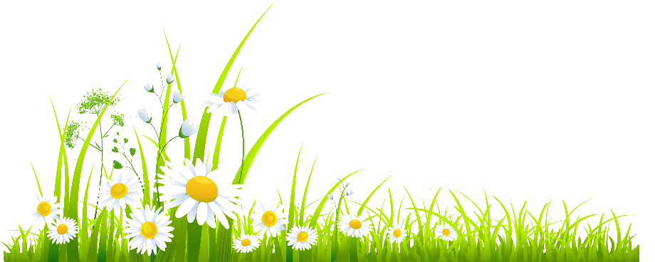 spring clipart transparent