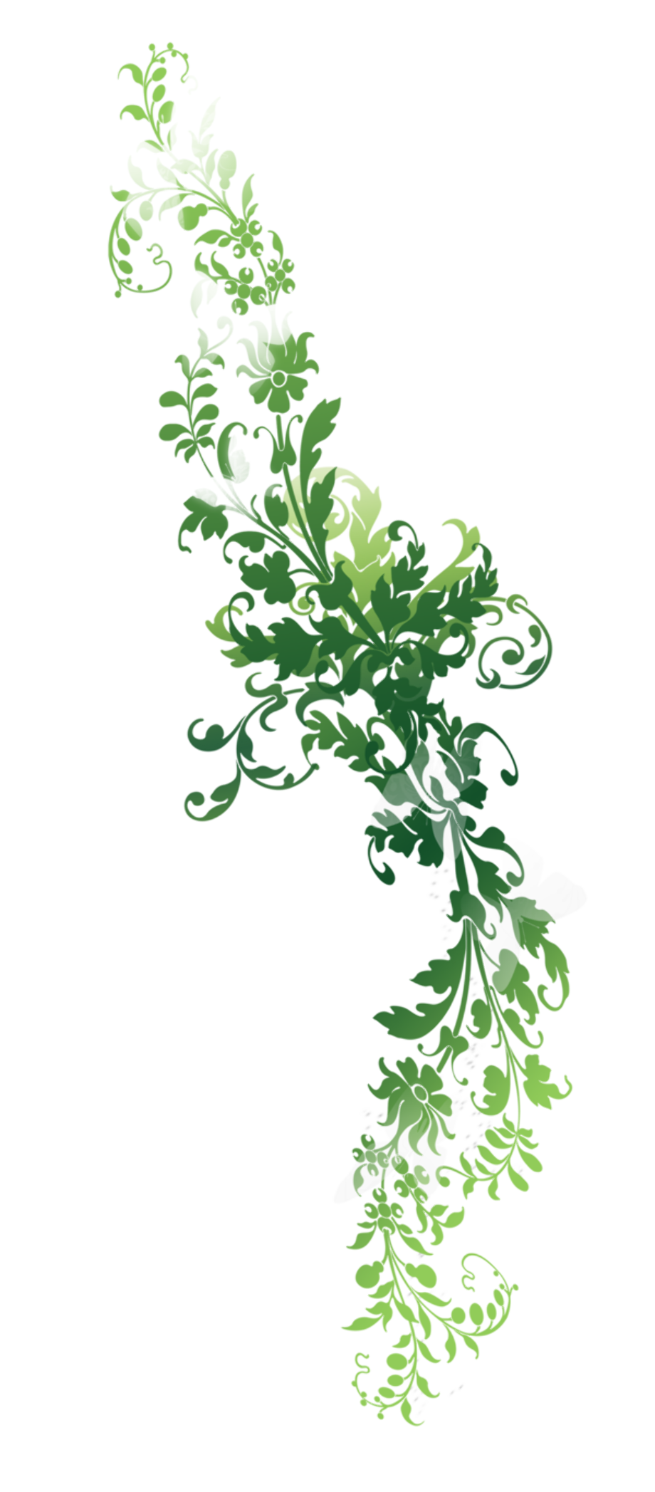 Nature clipart transparent