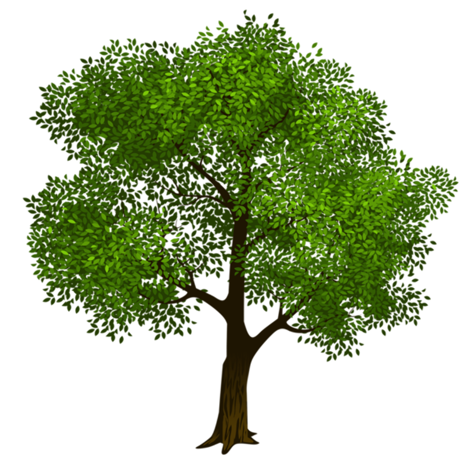 Tree clipart green