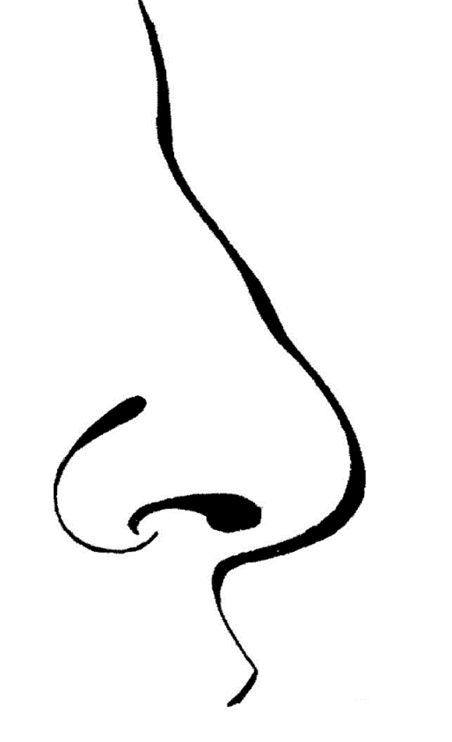 Nose Coloring