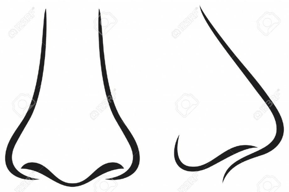 Download High Quality nose clipart coloring Transparent PNG Images