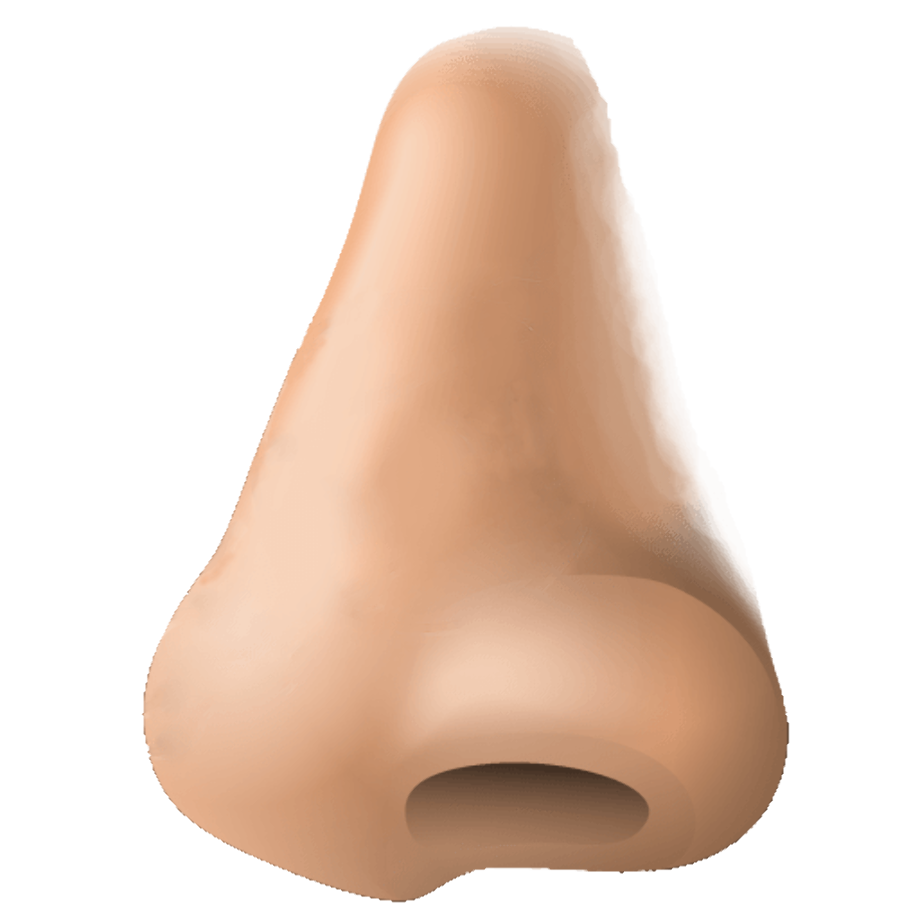 nose clipart small