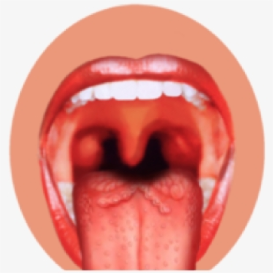 Download High Quality nose clipart sense organ Transparent PNG Images