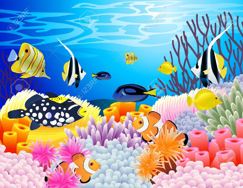 under the sea clipart coral reef