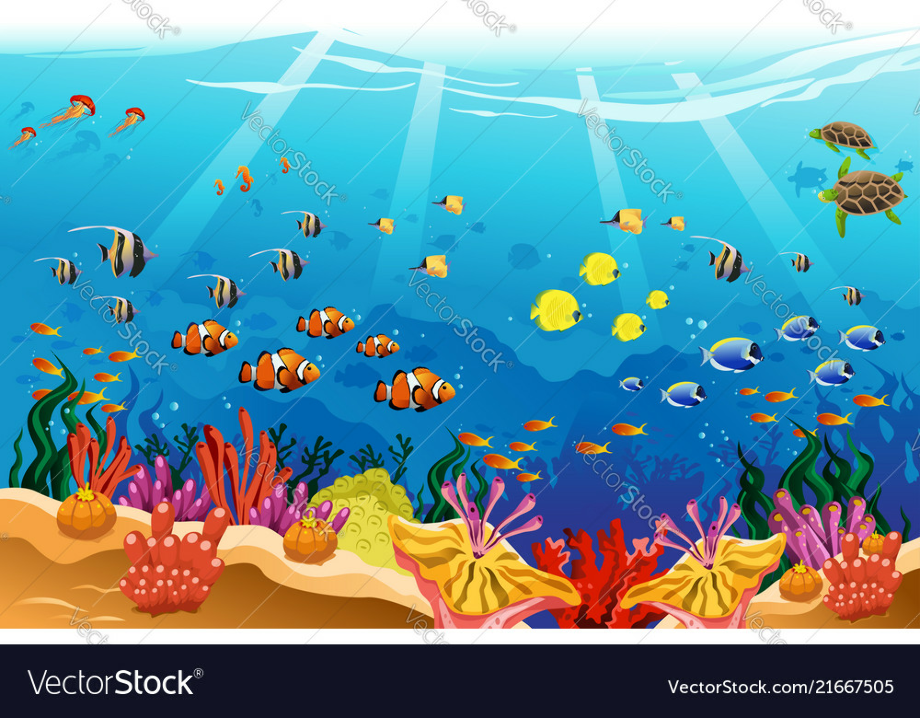 Coral Cartoon Drawing ~ Colorful Coral Reefs | Bocadewasuer