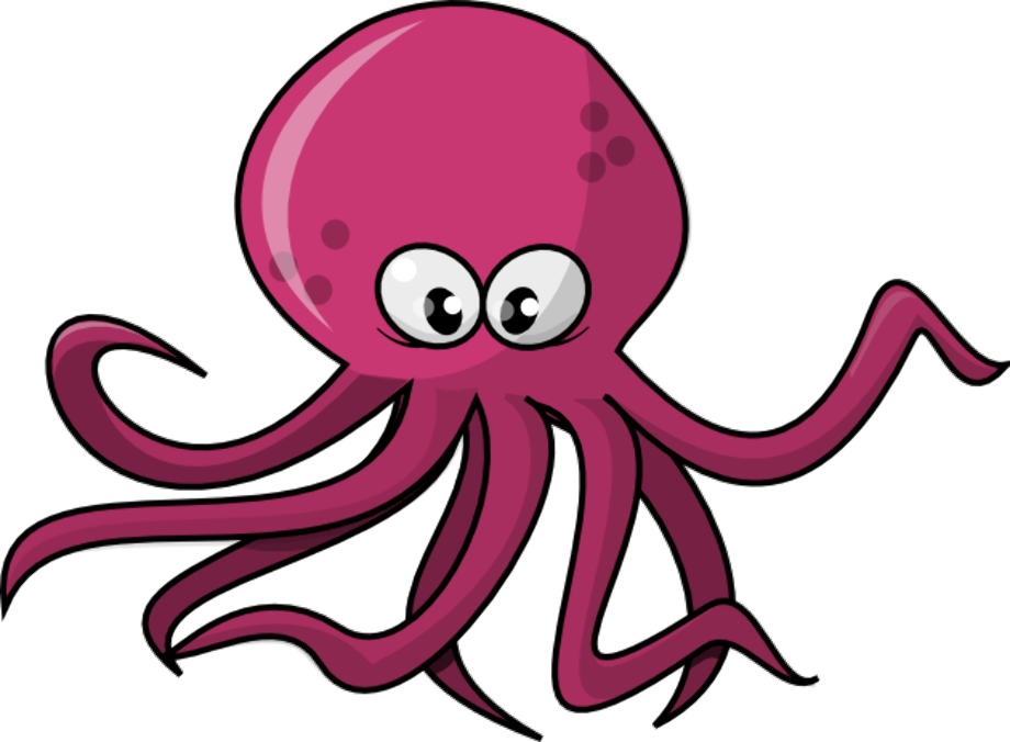 octopus clipart real