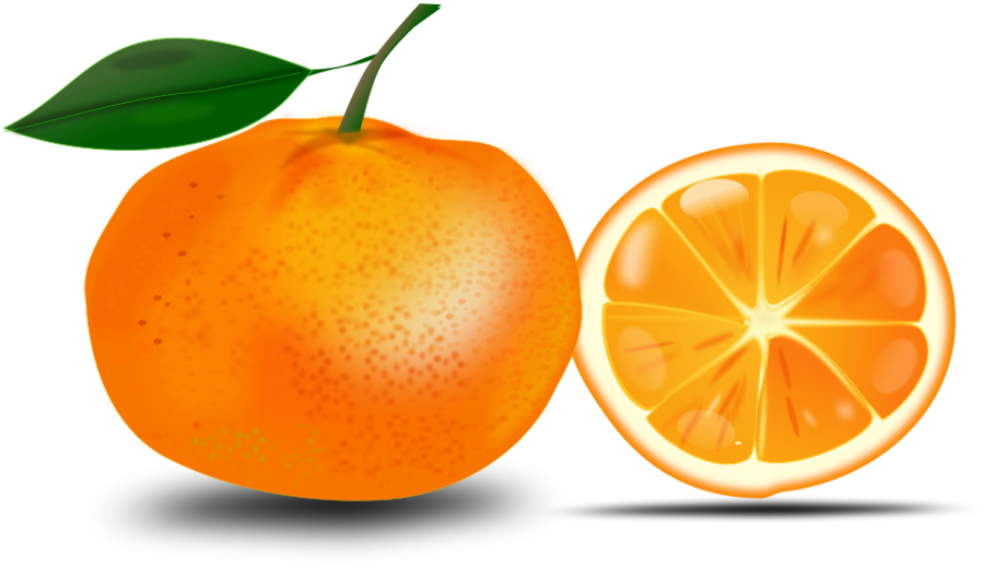 orange clipart