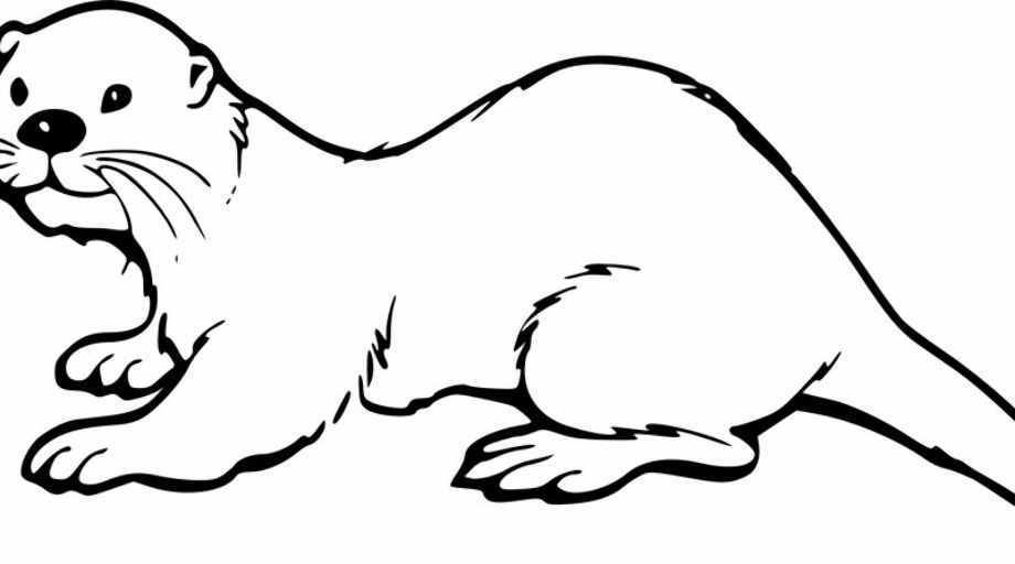 Download High Quality otter clipart outline Transparent PNG Images ...