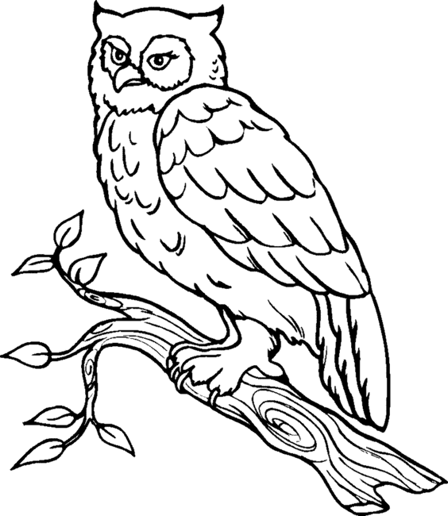 owl clipart black and white barn