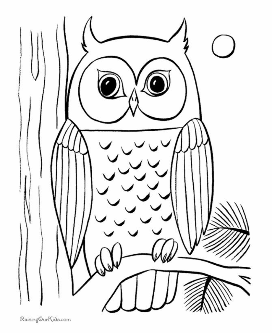 Download High Quality owl clipart black and white printable Transparent