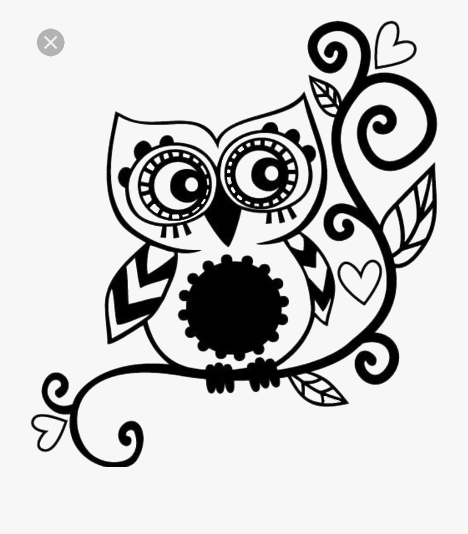 owl clipart black and white transparent