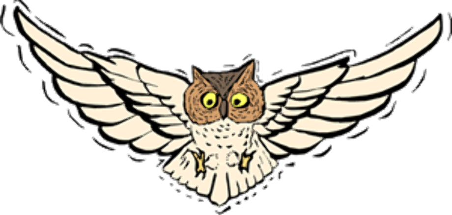 owl clipart flying