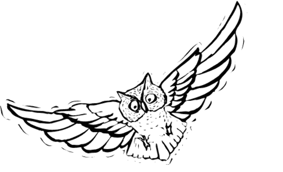 owl clipart black and white realistic