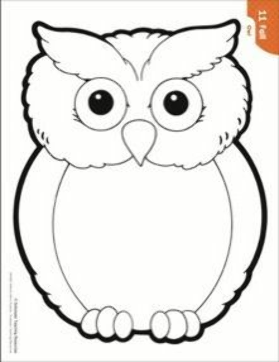 Download High Quality owl clipart outline Transparent PNG Images - Art