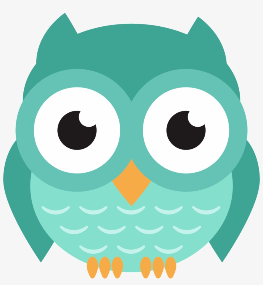 owl clipart transparent background