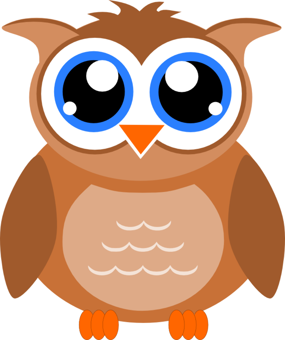 Download High Quality Owl Clipart Transparent Background Transparent