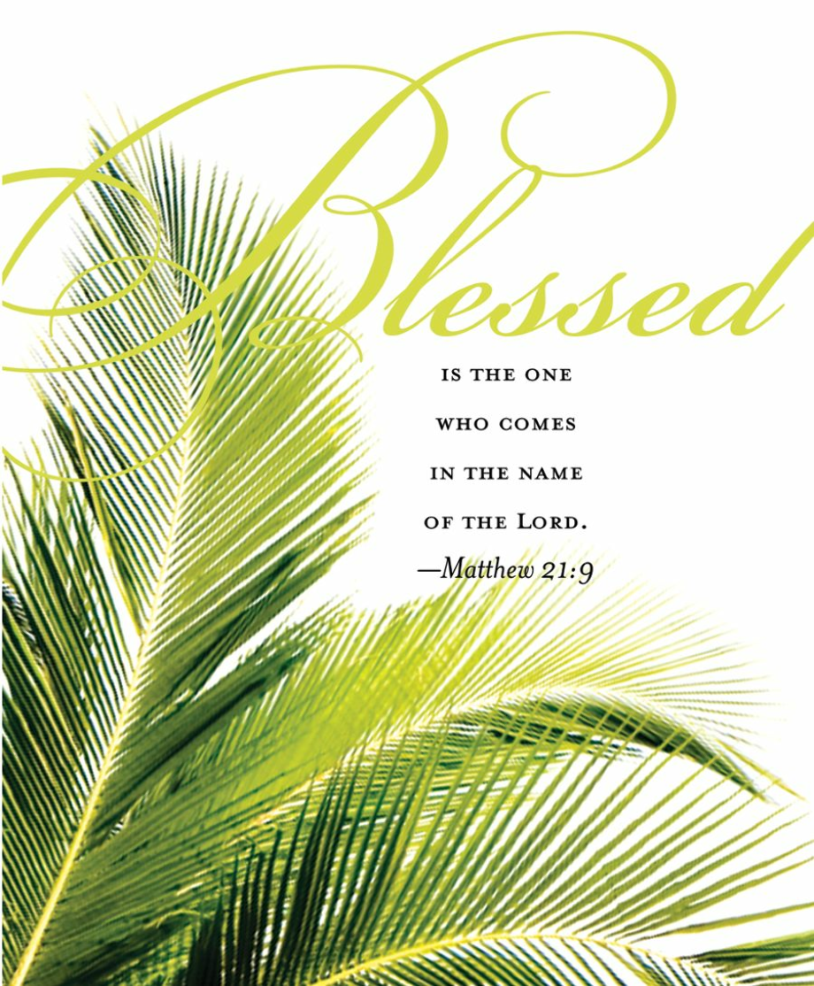 palm sunday clipart blessed