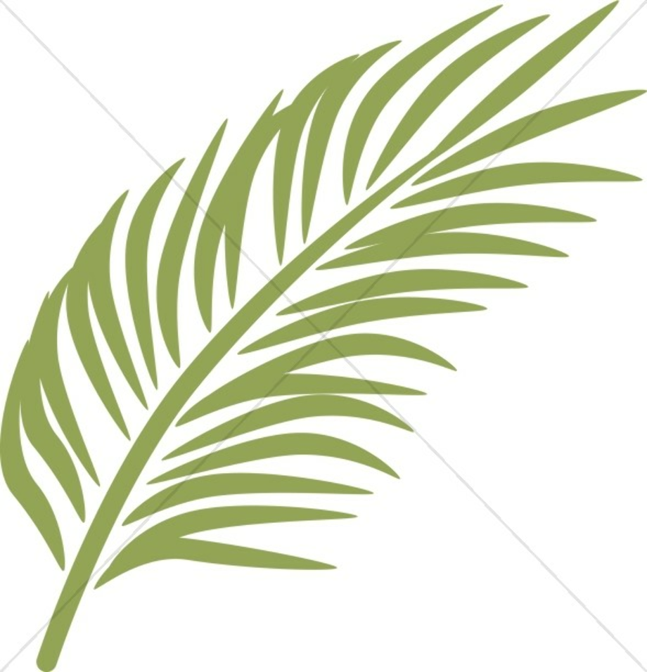 palm sunday clipart vector