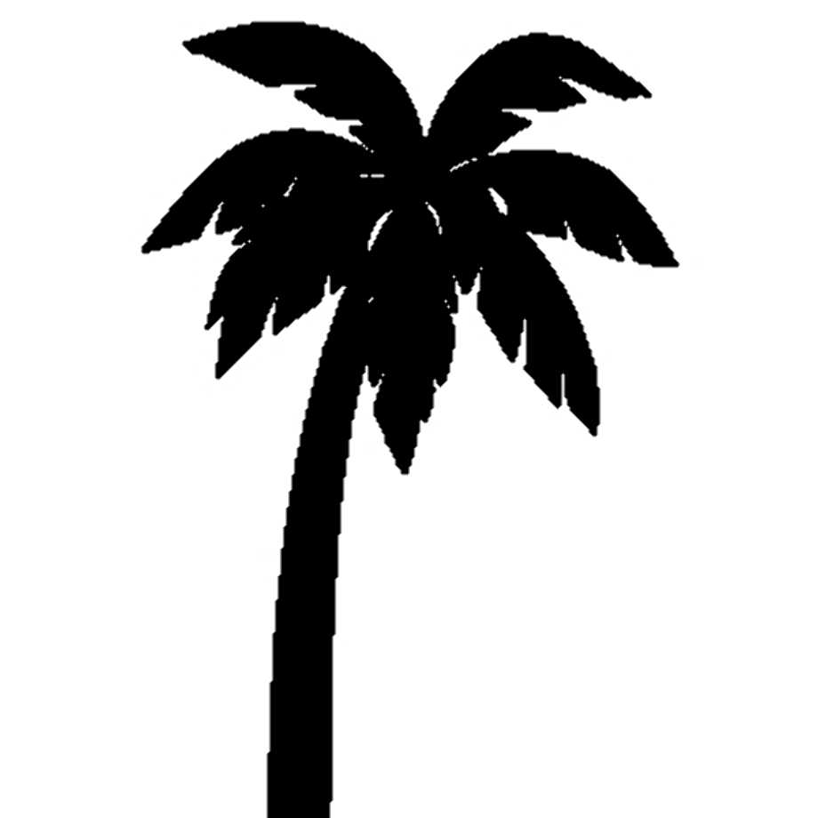 Download High Quality palm tree clipart black and white Transparent PNG
