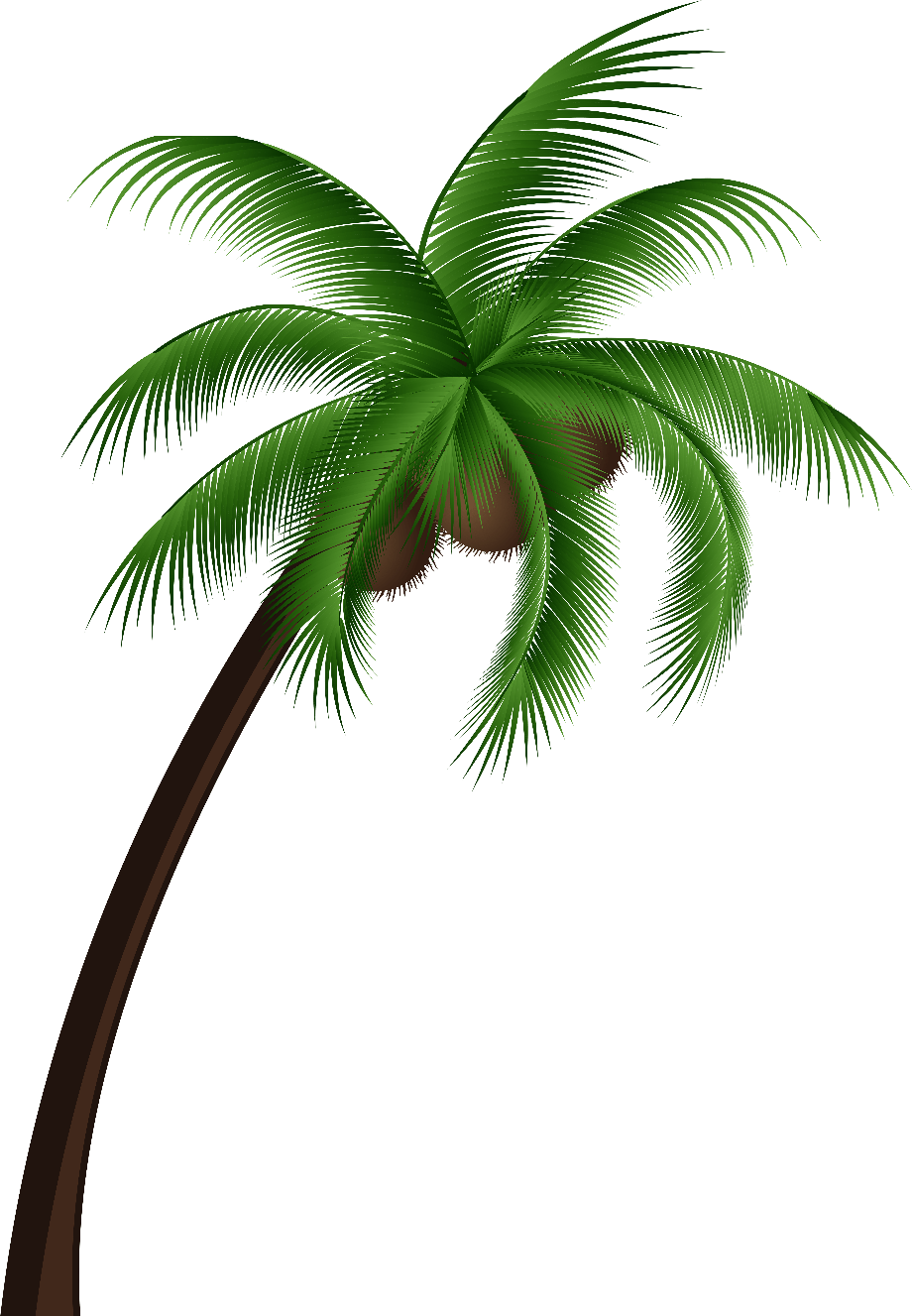Download High Quality palm tree clipart coconut Transparent PNG Images