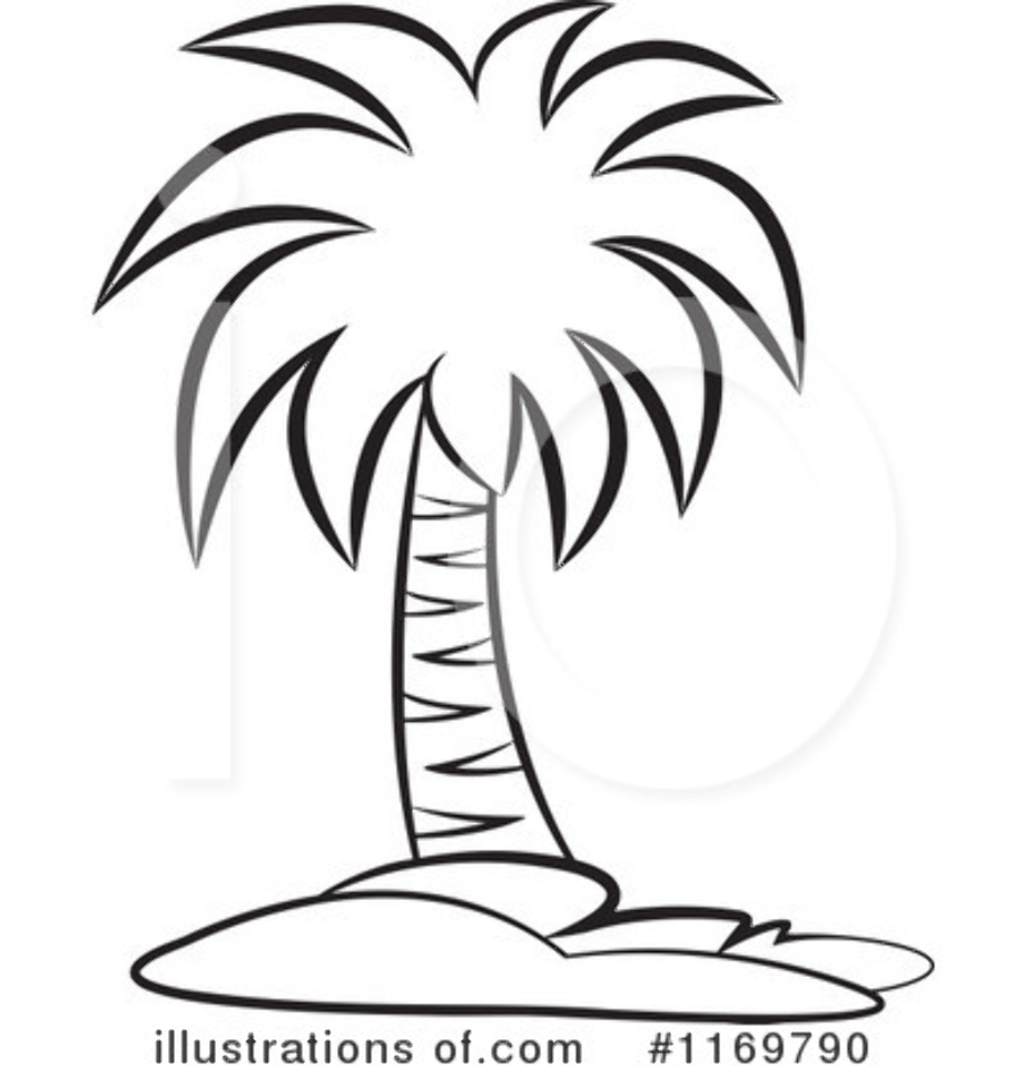 Download High Quality palm tree clipart outline Transparent PNG Images