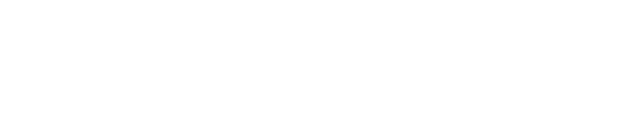 pandora logo black