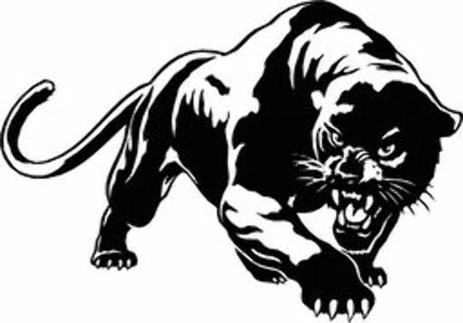 Download Download High Quality panther clipart Transparent PNG ...