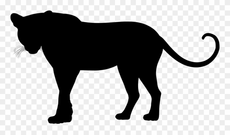 panther clipart jaguar
