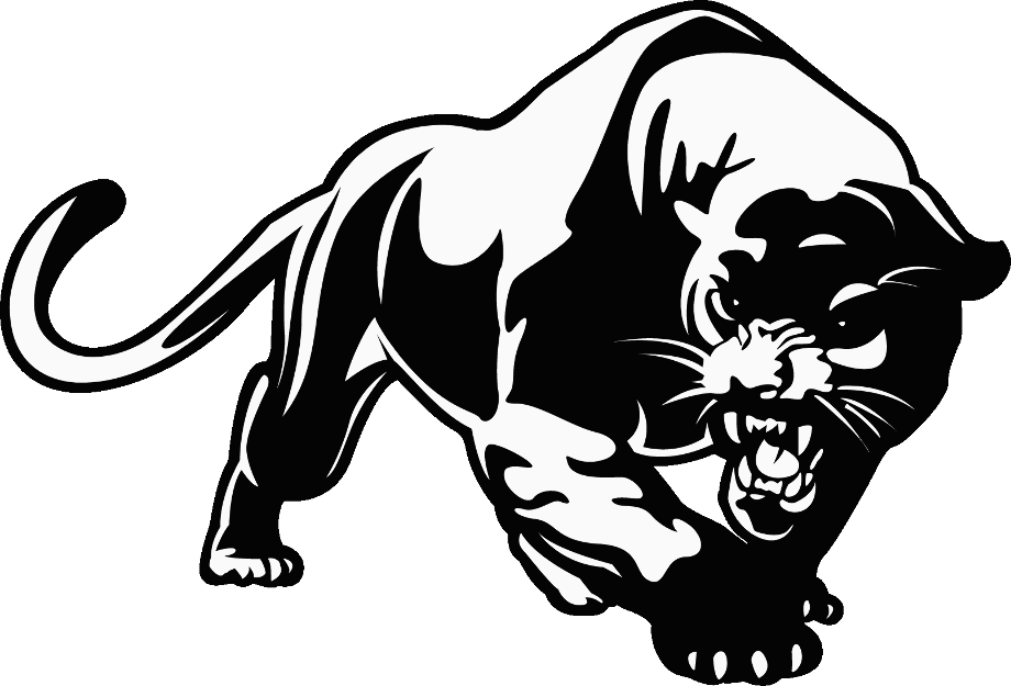 Download High Quality Panther Clipart Transparent Background