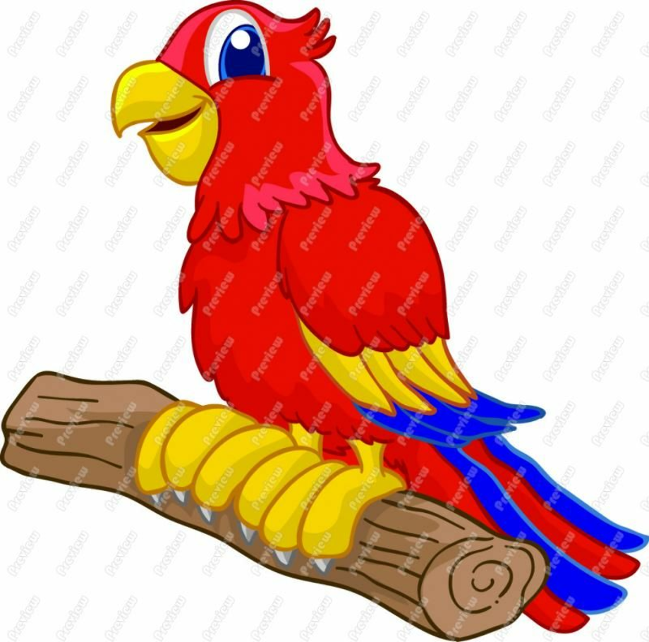 Download High Quality Parrot Clipart Red Transparent Png Images Art