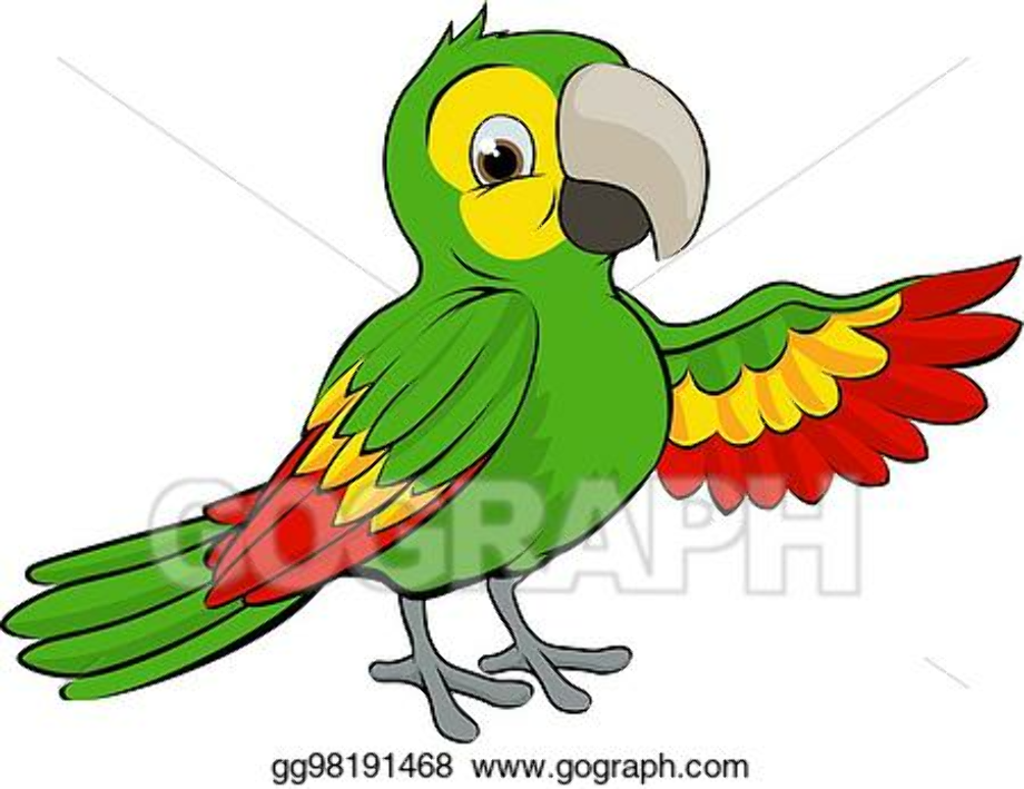 parrot clipart illustration