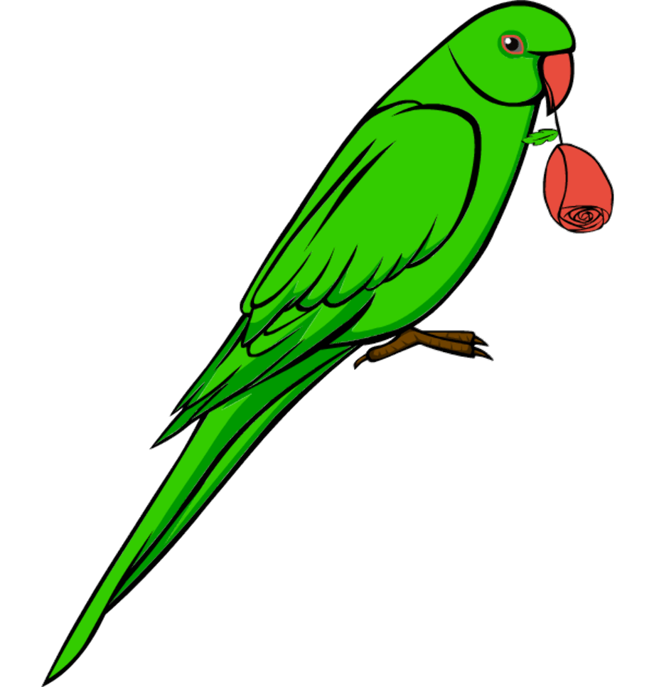 Download High Quality parrot clipart realistic Transparent PNG Images