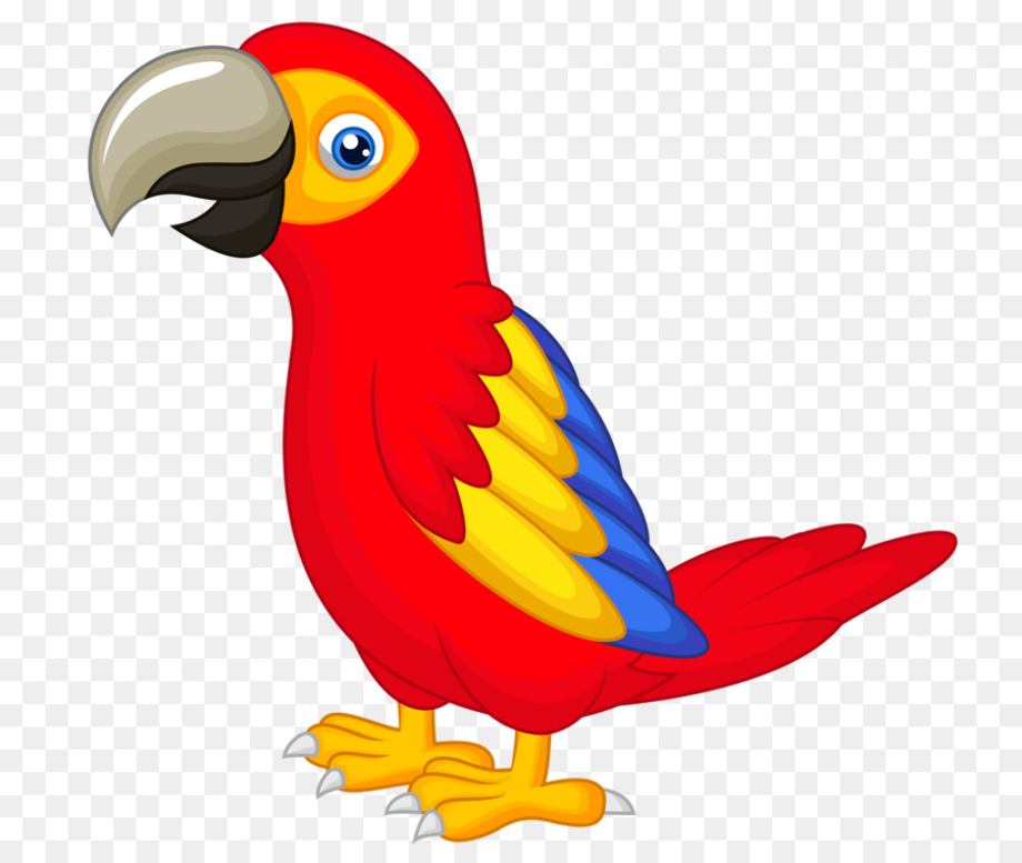 Download High Quality parrot clipart safari Transparent PNG Images