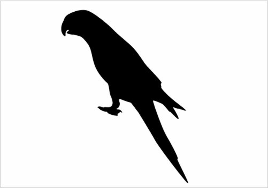 parrot clipart silhouette