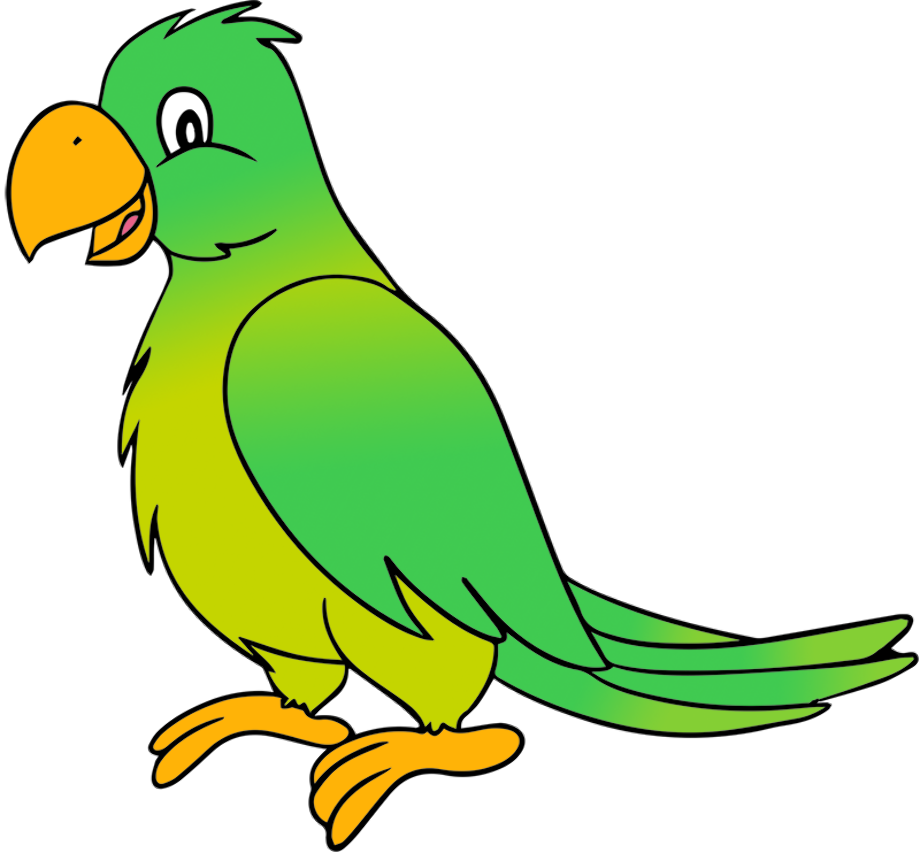 parrot clipart parakeet