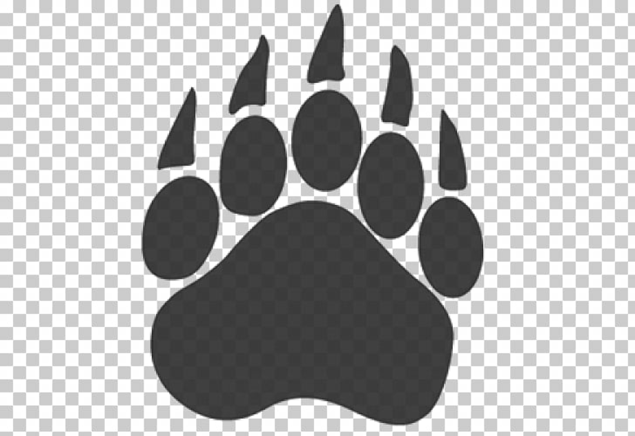 Download High Quality paw clipart bear Transparent PNG Images - Art