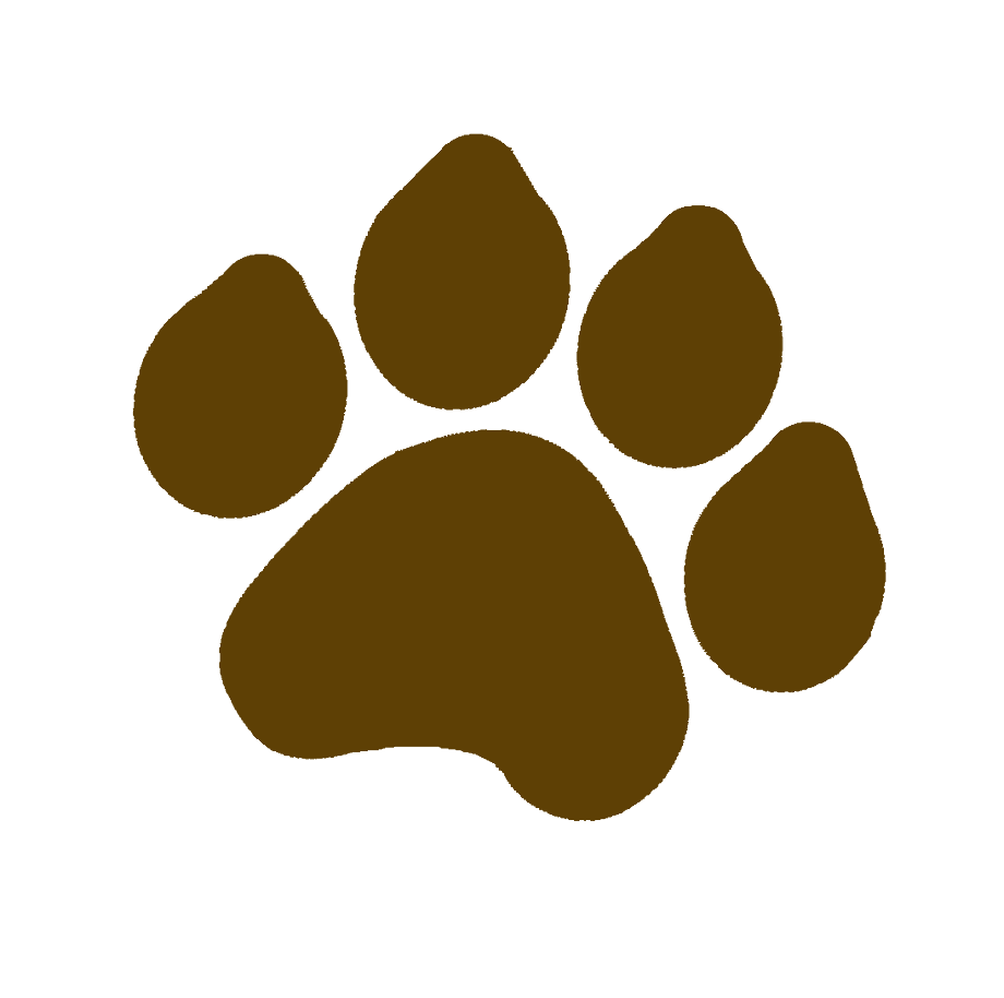 Download High Quality paw clipart brown Transparent PNG Images - Art