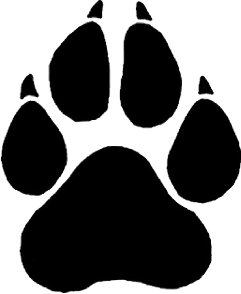 paw prints clipart panther