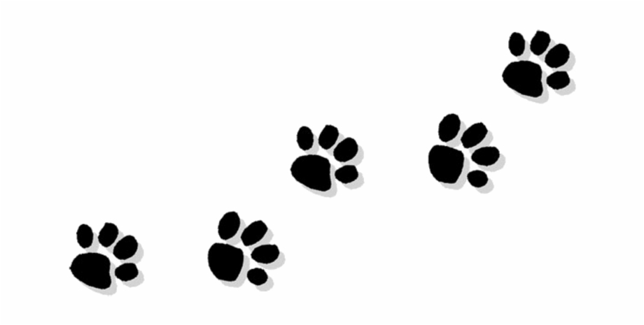 paw print clip art transparent