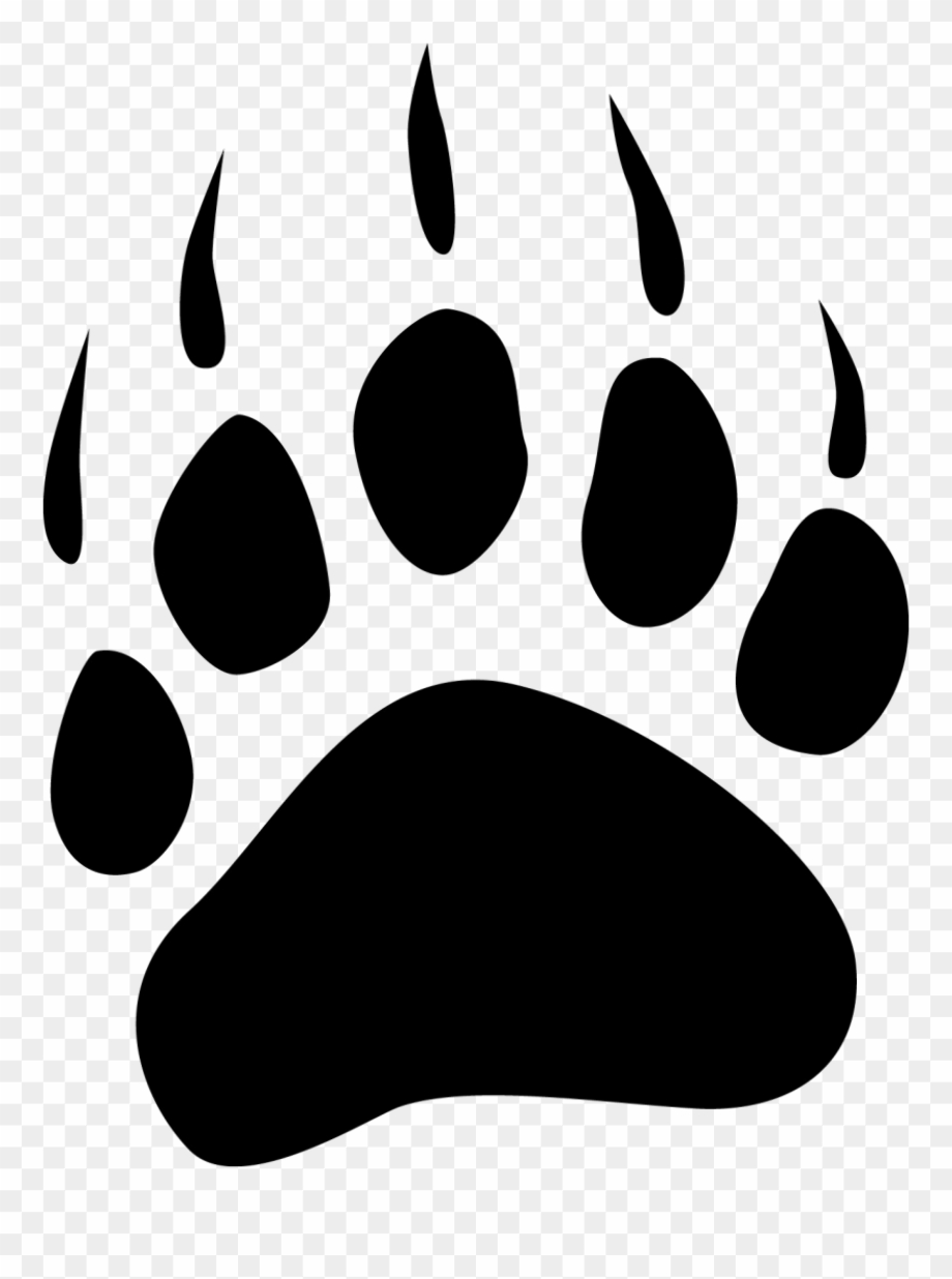 Download High Quality paw prints clipart bear Transparent PNG Images ...