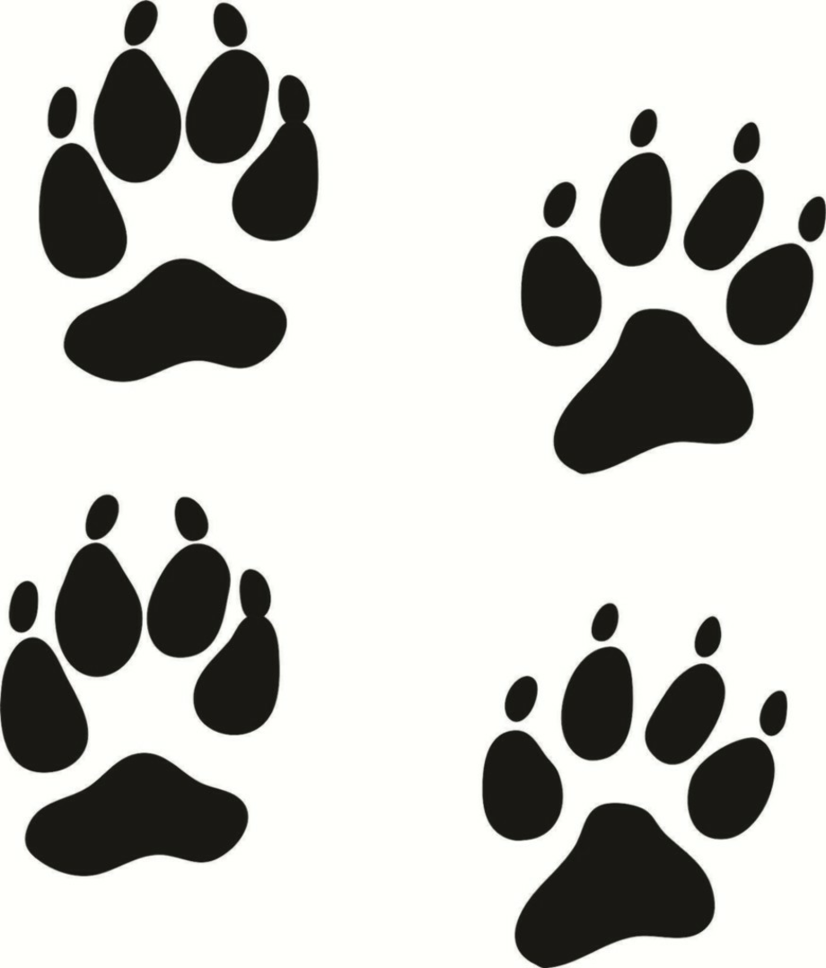 Download Download High Quality paw prints clipart coyote ...