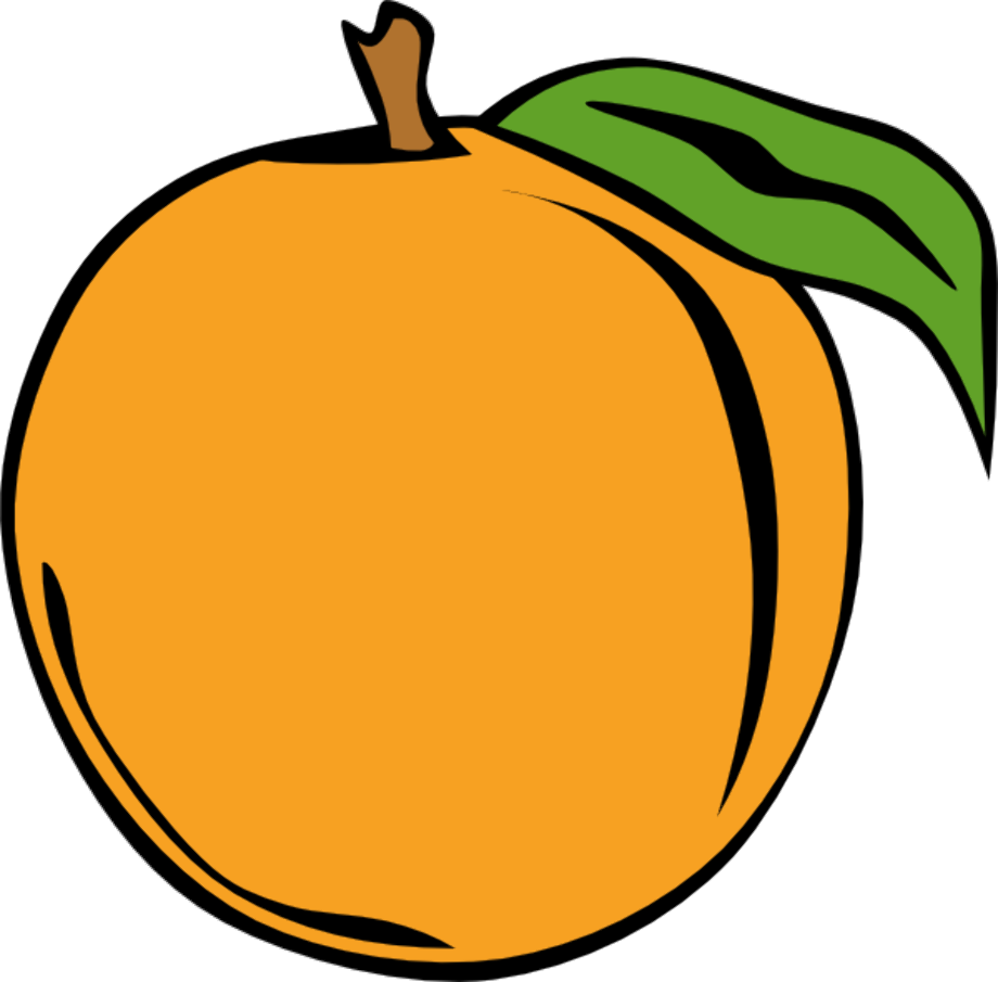 Download High Quality peach clipart vector Transparent PNG Images - Art
