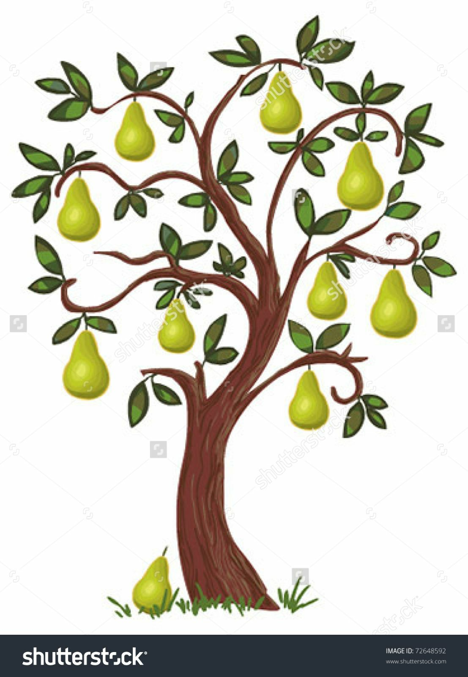 pear clipart tree