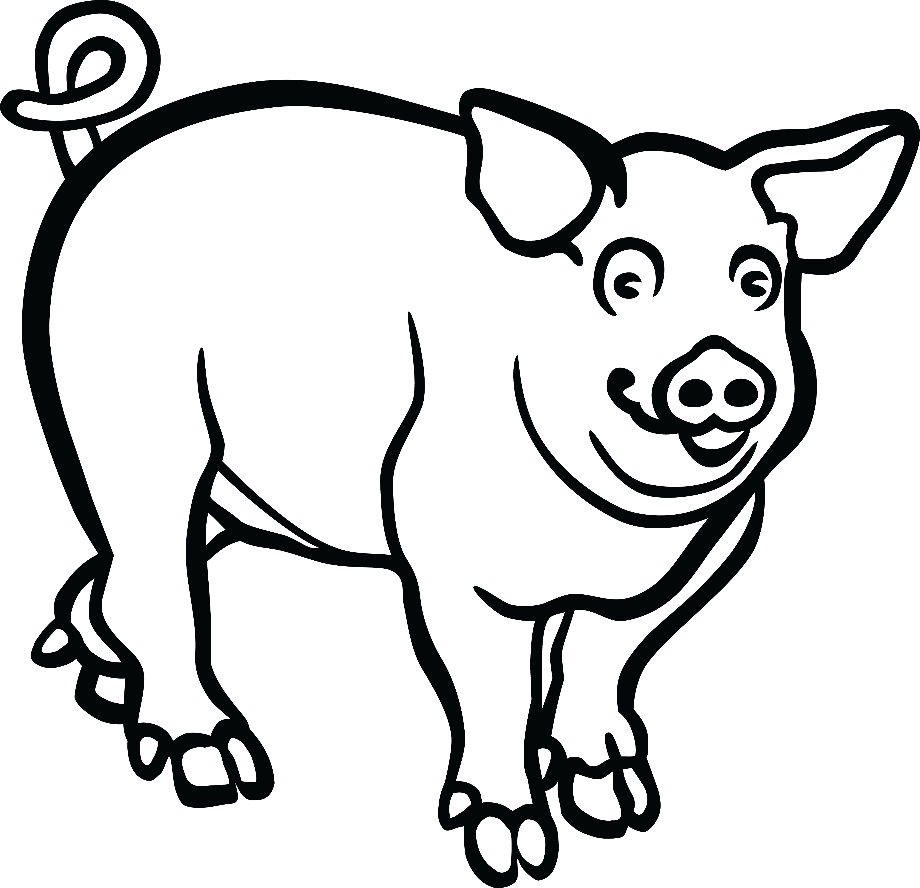 Download High Quality pig clipart black and white coloring Transparent ...