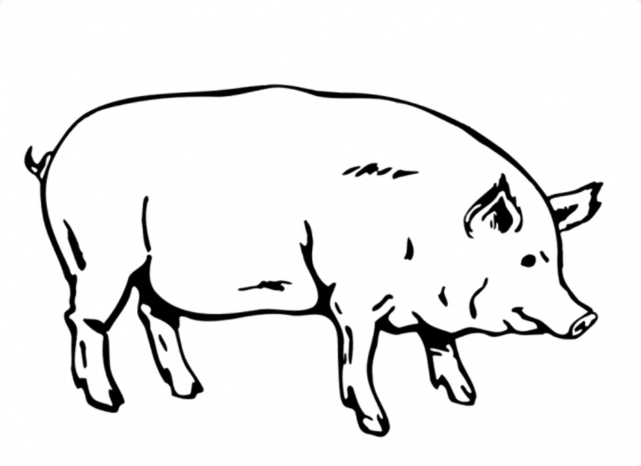 pig clipart black and white vector