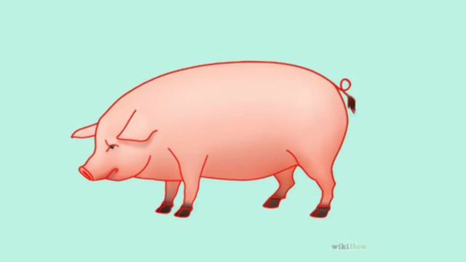 Download High Quality pig clipart realistic Transparent PNG Images