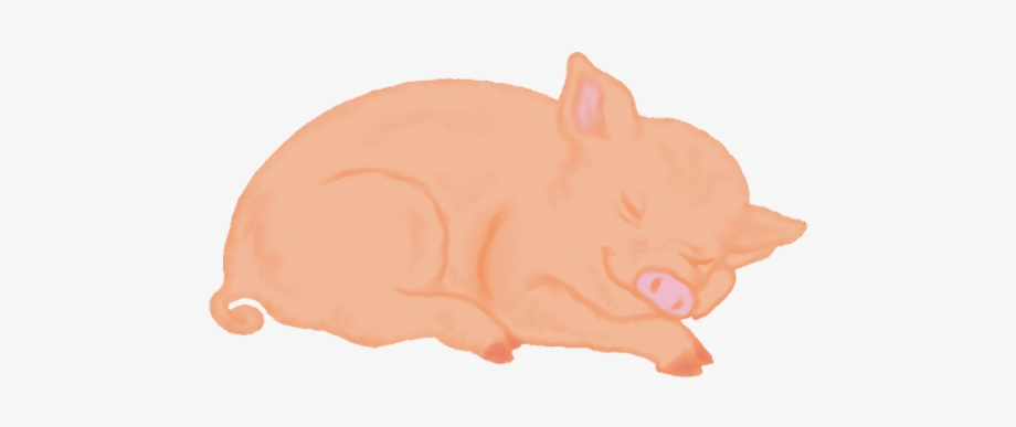 pig clipart sleeping